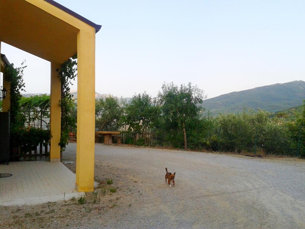 Villaggio Dei Balocchi Кастельбуоно Екстер'єр фото